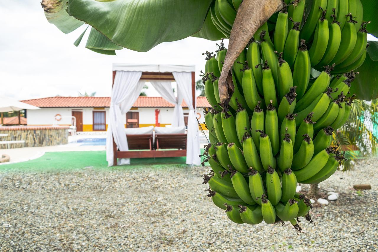 Finca Hotel La Quinta De Torrione Quimbaya Kültér fotó